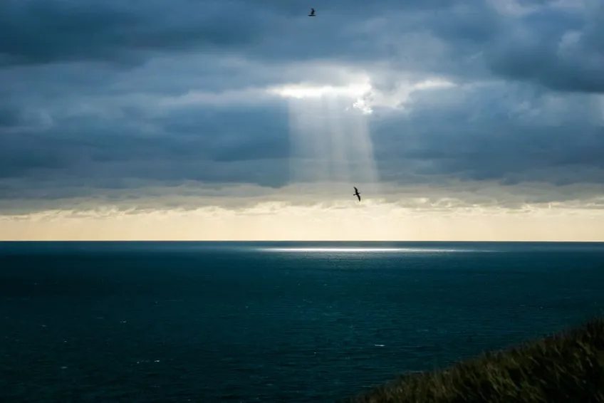 Learning to Cope, Living with Hope….Life with BPD
